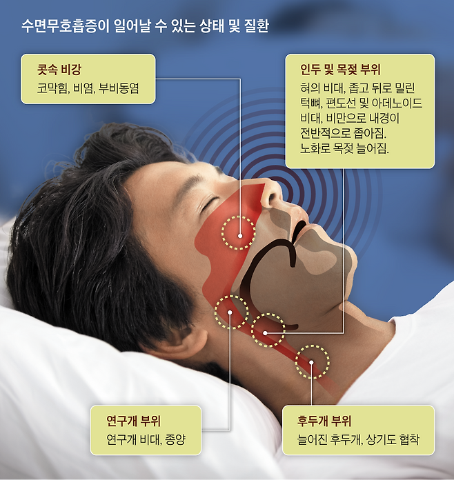 /사진=게티이미지뱅크, 그래픽=양진경