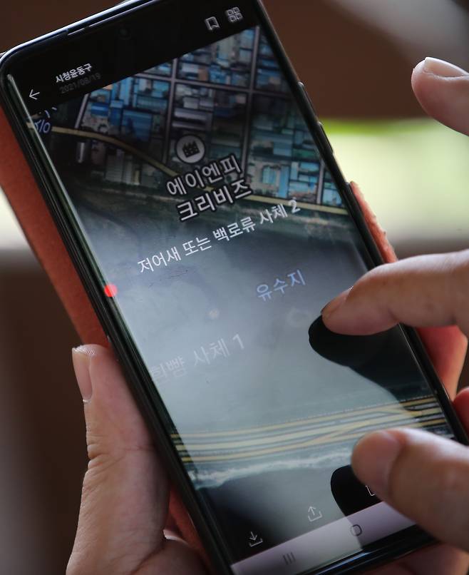 남동구청 관계자가 휴대폰을 이용해 폐사체 발견 장소를 살펴보고 있다. .우상조 기자