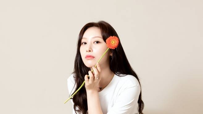 홍의진