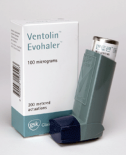 ▲사진=퇴장방지의약품으로 지정된 GSK ‘벤토린에보할러’. 약학정보원