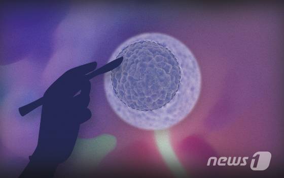 © News1 이은현 디자이너