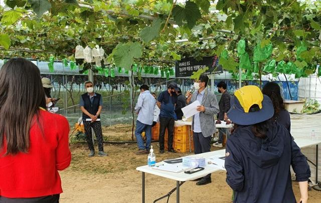 충남 천안의 한 포도농장에서 농민들이 윤홍기 박사의 강연을 듣고 있다.