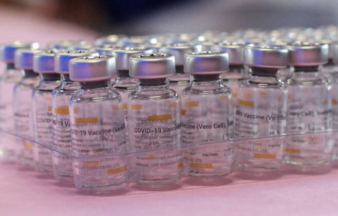 중국 시노백이 만든 코로나19 백신인 코로나백 /사진=뉴시스