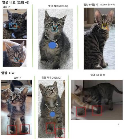 사진|온라인 커뮤니티 캡처