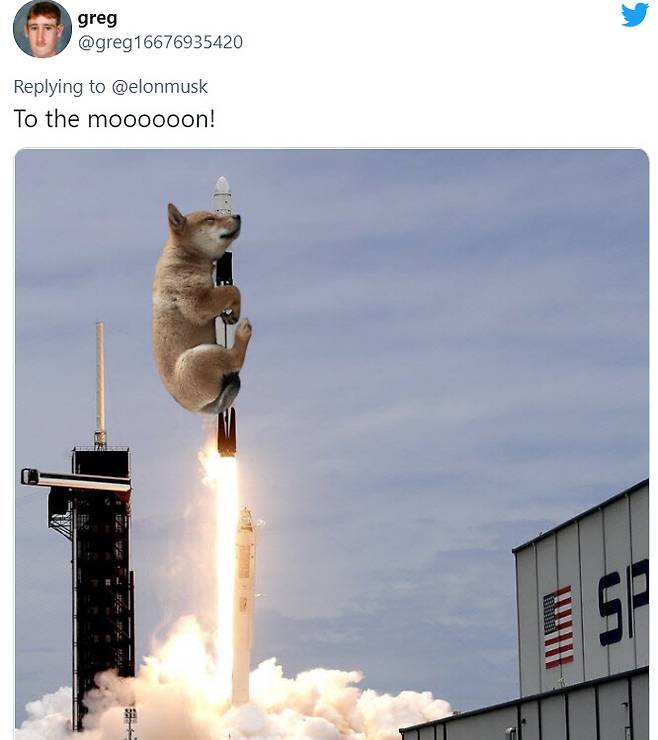 13일 머스크의 새로운 반려견 플로키가 스페이스X 로켓을 타고 우주로 향하는 모습(사진=트위터)