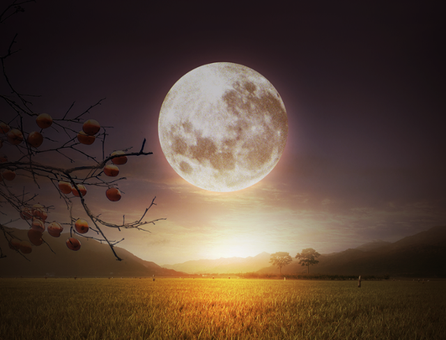 ©게티이미지뱅크