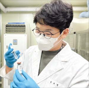 한국원자력연구원 연구원이 살모넬라 백신 효과를 점검하고 있다.   원자력연  제공