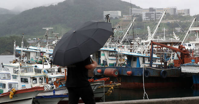 제14호 태풍 '찬투'가 북상하는 가운데 14일 오후 경남 통영시 무전동 해변공원 일대에 피항한 선박이 가득하다.  연합뉴스