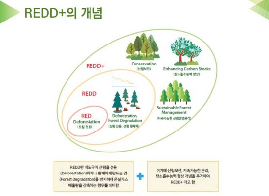 REDD+ 사업 개념도. 산림청 제공