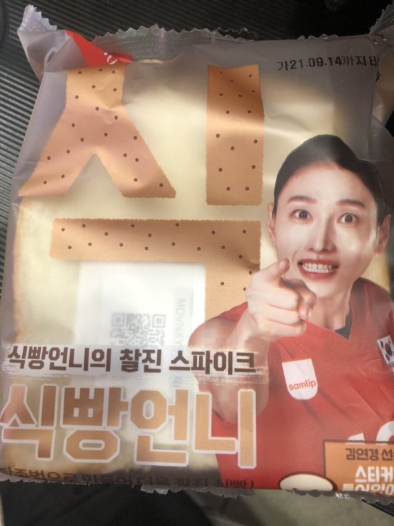 루리웹에 올라온 김연경 식빵 '식빵언니' 캡쳐