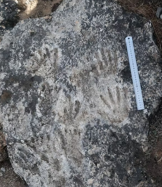 2018년 티베트 고원에서 발견된 바위에서 22만 6000년 전 해당 지역에 살았던 어린이 데니소바인이 남긴 것으로 추정되는 손자국과 발자국이 확인됐다.