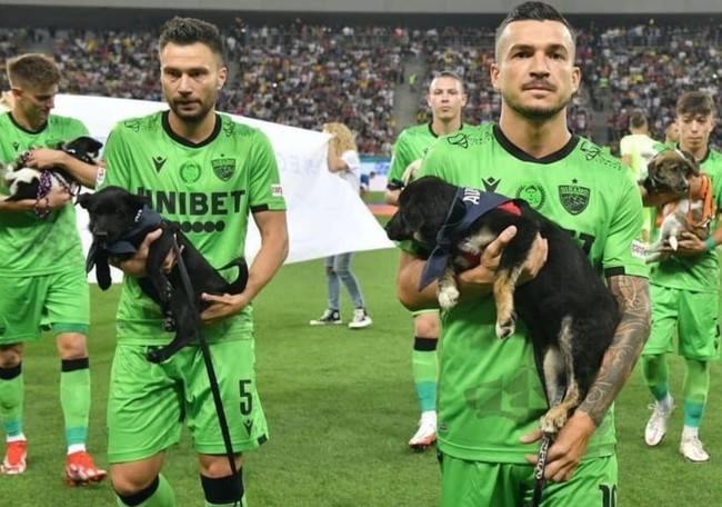 사진= 디나모 부쿠레슈티