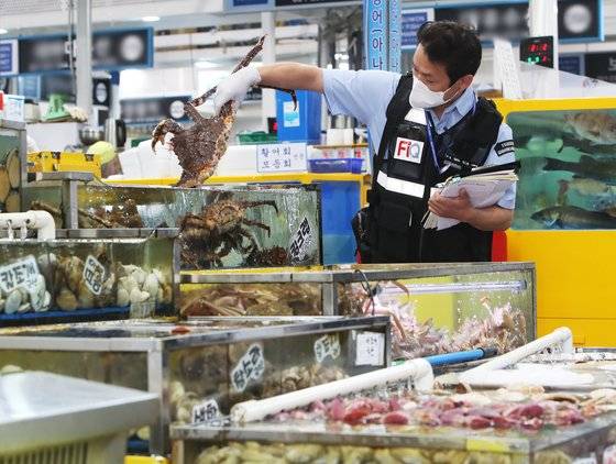 9일 경기도 수원시 권선구 수원농수산물도매시장에서 해양수산부 국립수산물품질관리원 인천지원 공무원이 추석을 앞두고 수산물 원산지 단속을 하고 있다. 연합뉴스