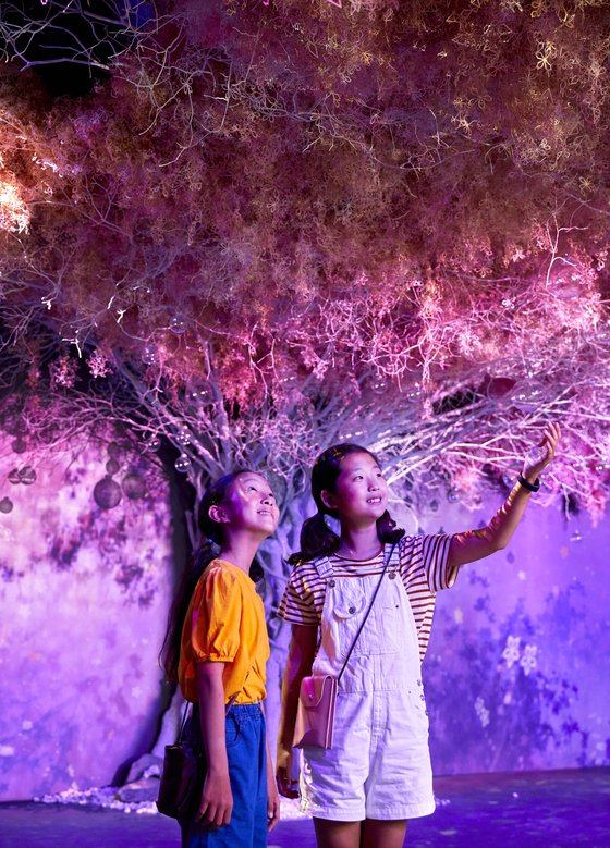 이수정(왼쪽)·김민아 학생기자가 미디어 아트 ‘플라워 바이 네이키드’의 사진 명소인 분홍 벚나무 아래 섰다.