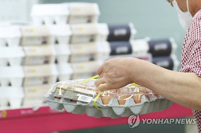 계란 [연합뉴스 자료사진]