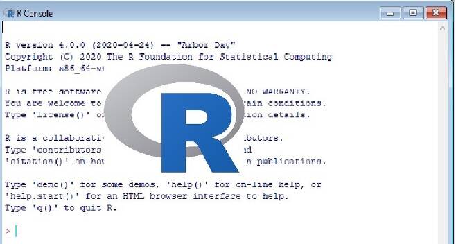 R 프로그래밍 언어 로고. 위키미디어 코먼스