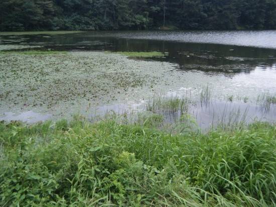 미륵골 누리길 조성사업 구간인 경산시 하양읍 후곡지 *재판매 및 DB 금지