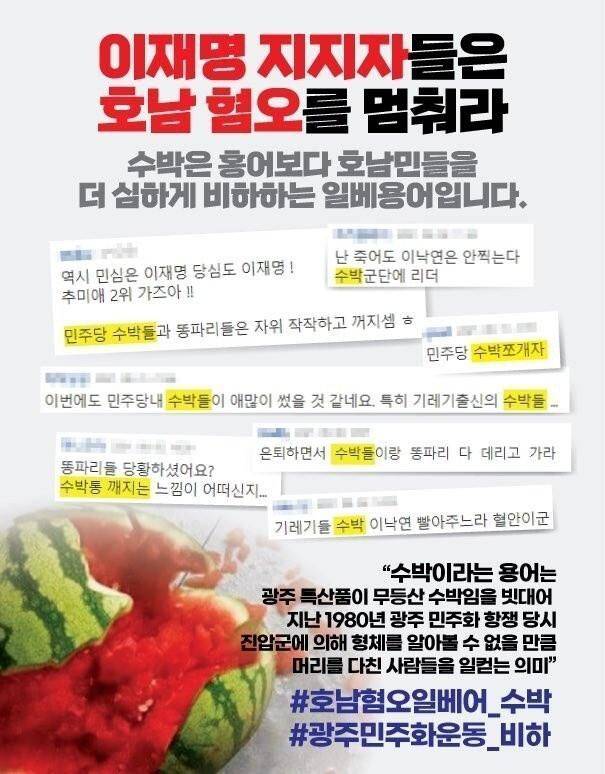더불어민주당 대권주자 이재명 경기지사가 21일 밤 페이스북 글에서 '수박'을 언급하자, 한 네티즌이 호남 비하 용어라며 설명하는 자료를 댓글로 달았다. /페이스북 캡처