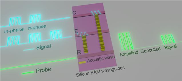 신희득 포스텍 물리학과 교수 연구팀은 실리콘 칩에서 빛이 만든 음파를 간섭시켜 광파 신호를 조절하는 기술을 개발했다. 포스텍 제공