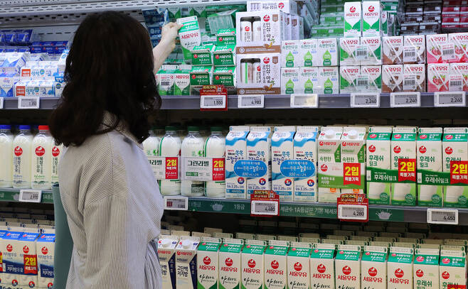 서울 시내 한 대형마트에서 한 소비자가 우유 판매대를 살펴보고 있다. 연합뉴스
