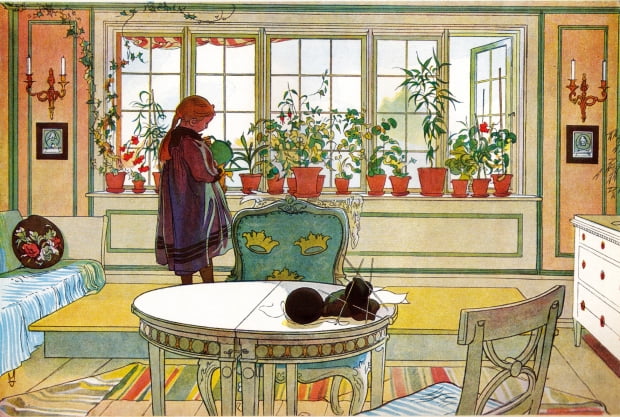 칼 라르손, 창턱의 꽃. 집에서, 1894