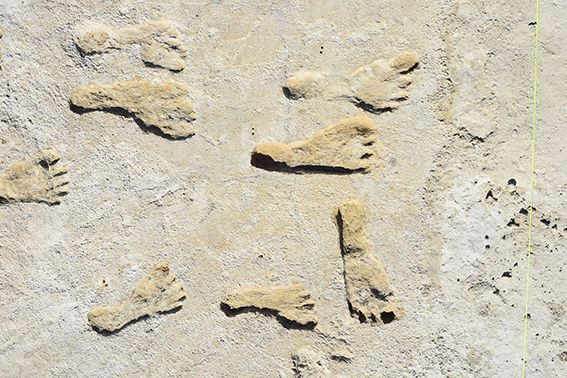 미국 뉴 멕시코주 화이트 샌드 국립공원에서 발굴된 2만3000년 전 발자국 화석. 주로 청소년이나 어린이들의 발자국이었다./미국 본머스대
