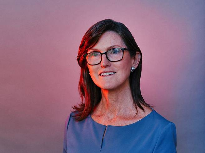 캐시 우드 아크인베스트먼트(ARK) 최고경영자(CEO). /조선DB