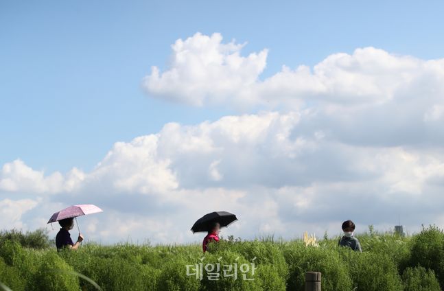 서울 마포구 상암 하늘공원에 시민들이 산책을 하고 있다(자료사진). ⓒ데일리안 류영주 기자