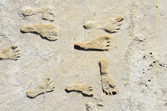 미국 뉴멕시코주에서 발견된 발자국 화석. 본머스대 제공.