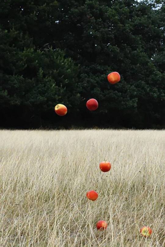 안준, ‘One Life(2018)#020’, 60.96×91.44㎝.