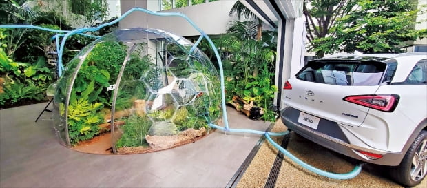 현대자동차가 일본 도쿄에서 벌인 글로벌 수소 캠페인에서 수소차 넥쏘가 배출하는 물과 에너지를 실내 정원에 연결한 모습.  사진=현대차 제공