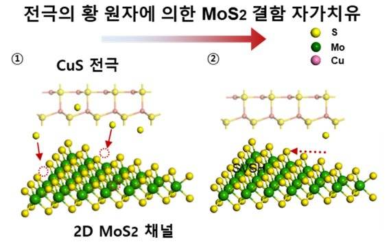 성균관대 차승남 교수팀이 개발한 반도체 물질은 황화구리 전극의 황 원자들을 통해 이황화 몰리브덴의 결함을 채워 자가치유 특성을 띄고 있다. 성균관대 박상연 박사후연구원 제공