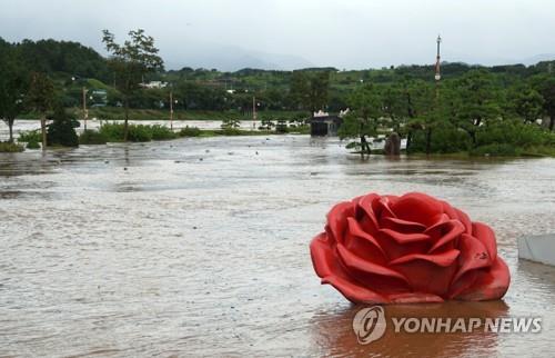 2020년 9월 태풍으로 침수된 삼척 장미공원 [연합뉴스 자료사진]
