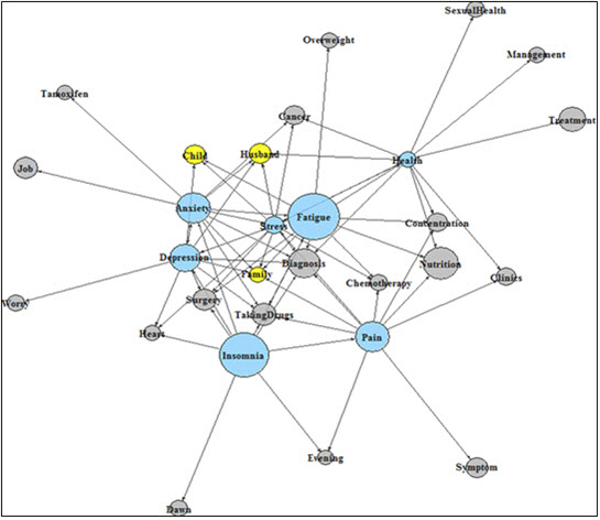 개별 인터뷰의 텍스트 분석을 통한 키워드(파란색 원)과 관련 단어(회색 및 노란색 원; 특별히 노란색 원은 가족 관련 단어)간의 네트워크 맵(network map); 원의 크기는 인터뷰에서 각각의 단어가 언급된 빈도수를 의미하며, 두 원 사이의 길이 및 가중치는 단어 간의 상대적 상관관계를 뜻한다. 단어 사이에 연결된 선의 수가 많을수록 네트워크 맵의 중심에 위치하고, 이는 중요도를 의미한다.