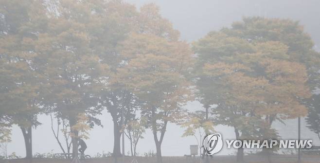 강원 영서 아침 짙은 안개 [연합뉴스 자료사진]