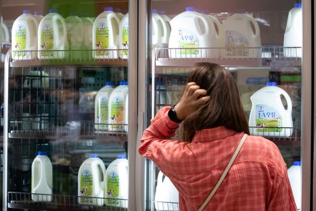 지난달 26일 경기 고양시의 대형마트에서 한 시민이 우유를 고르고 있다. 서울우유협동조합은 원유가격 인상분 21원을 반영해 이날부터 흰우유 1리터 기준 제품 가격을 5.4% 인상했다. 뉴스1
