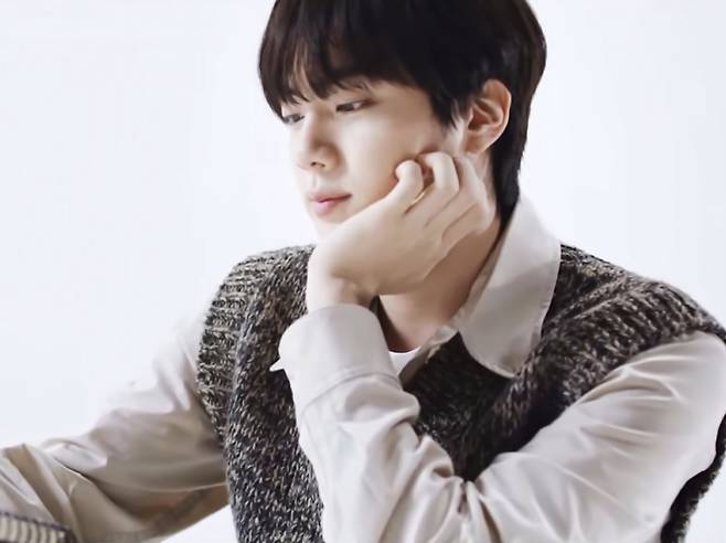 방탄소년단 진(BTS JIN)