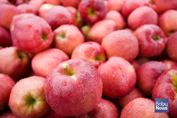 항산화 성분인 플라보노이드가 풍부하게 들어 있는 사과는 가을철 면역력을 높여주는 과일 중 하나입니다. ⓒ베이비뉴스