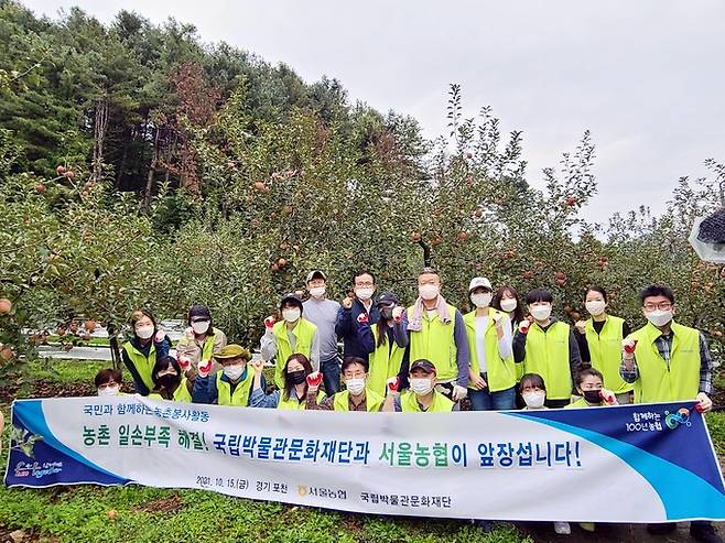 15일 농협서울지역본부와 국립박물관문화재단은 경기도 포천 농가 농촌 일손돕기 기념촬영을 하고 있다.