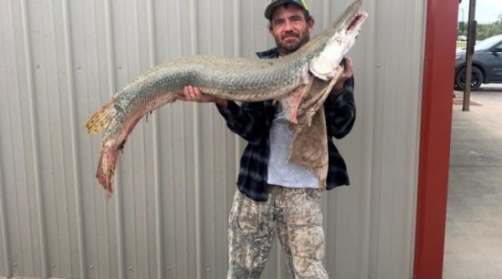 지난달 20일 미국 캔자스주를 흐르는 네오쇼강에서 낚시를 하던 대니 리 스미스는 몸길이 1.37m, 몸무게 17.97kg의 앨리게이터 가아를 잡았다. [사진=KDWP 캡처]