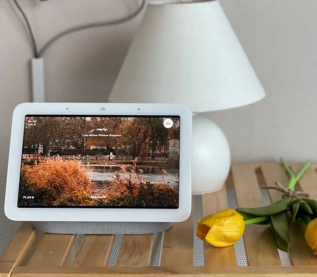 구글 AI 스피커 '네스트 허브 2세대'./사진=백유진 기자 byj@