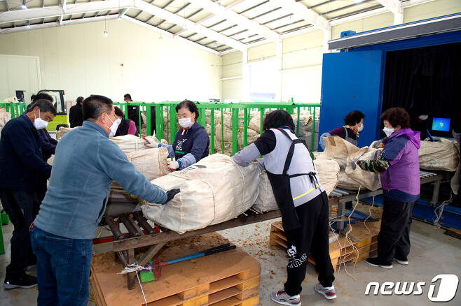 제천시 봉양읍 엽연초생산협동에서 올해 생산된 잎담배를 수매하고 있다.(제천시 제공)© 뉴스1