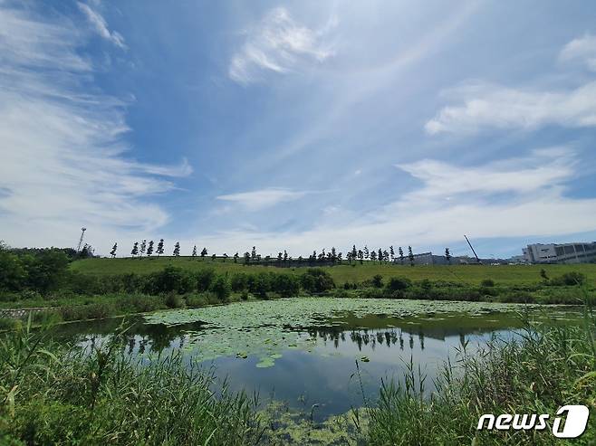 한국타이어 금산공장 미세먼지 차단숲 예정지.  (금산군 제공)© 뉴스1