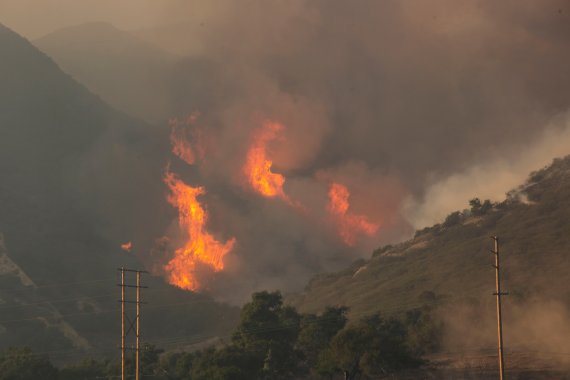 미국 캘리포니아주 샌타바버라 인근 앨리설에 13일(현지시간) 산불이 나 숲을 태우고 있다. 캘리포니아주는 97년만에 가장 극심한 가뭄을 겪고 있는 것으로 나타났다. 로이터뉴스1