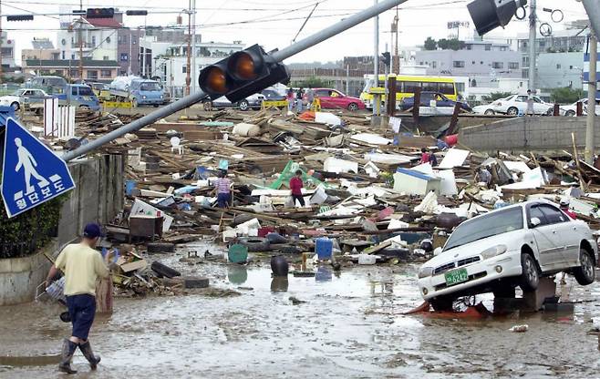 경기 부천의 사립대를 나와 8년째 IT 서비스 기획자로 일하는 김영빈씨는 서울 사람들의 지방에 대한 무지·무관심에 놀랐다 말한다. 그가 만난 서울 사람들은 태풍 매니는 기억해도 하루에 800㎜가 넘는 물폭탄이 쏟아지며 사망·실종자만 246명을 남긴 태풍 루사는 기억하지 못했다. 사진은 2002년 태풍 ‘루사’가 동반한 가웅과 폭우로 인해 마비된 원 강릉시 강남동 도로 일대. 서성일 기자