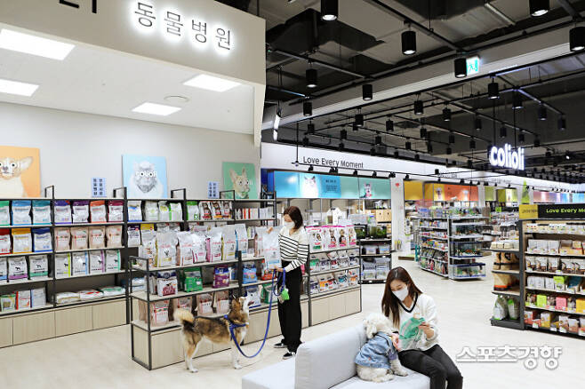 19일 서울 은평구 진관동에 위치한 롯데마트 은평점 콜리올리 매장에서 소비자들이 반려견과 함께 매장을 이용하고 있다.