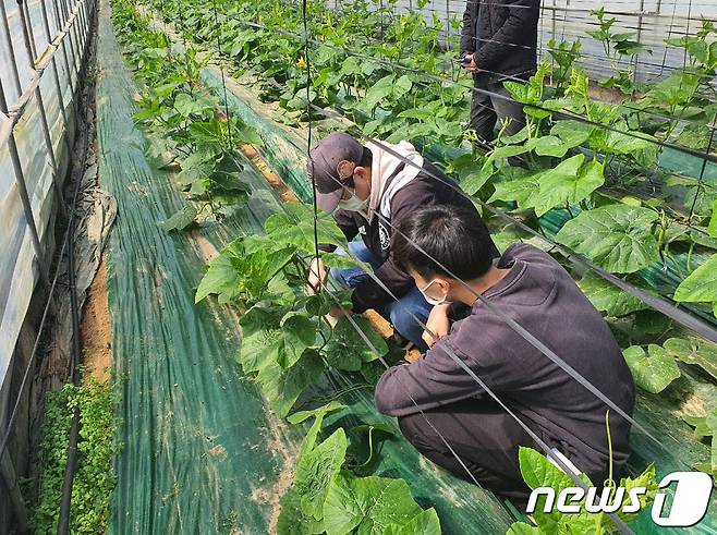 충북 청주농업기술센터는 농업인을 대상으로 토양검정 등 무료 분석서비스를 제공한다.(청주시 제공).2021.10.20/© 뉴스1