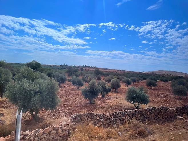 카라한테페로 향하는 길 버스 창밖에 펼쳐진 풍경