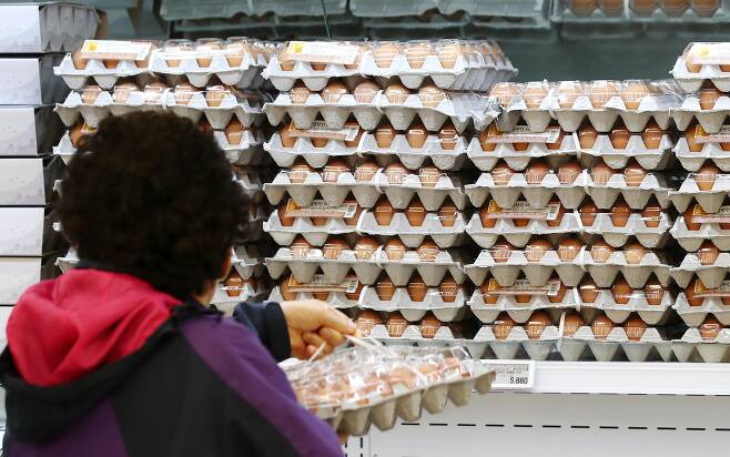 연합뉴스  지난 18일 한국소비자단체협의회 물가감시센터가 발표한 자료에 따르면 올 3분기 중 생활필수품 38개 품목 중 29개 품목의 가격이 1년 전에 비해 평균 6.3% 올랐다. 달걀값은 무려 70%나 오른 것으로 나타났다. 사진은 서울 한 대형 마트의 계란 판매대.