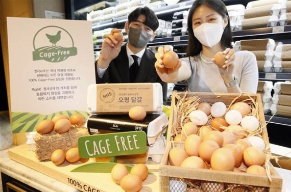 갤러리아백화점이 국내 백화점 중 최초로 식품관에서 판매하는 모든 달걀을 케이지 프리(Cage - Free) 달걀로 전환한다고 밝혔다. 갤러리아백화점 제공.